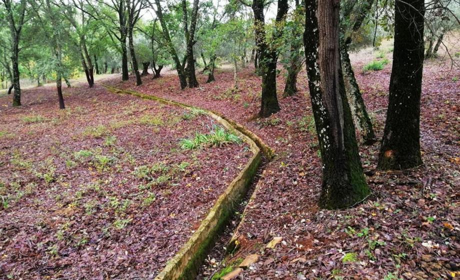 Finca La Liserilla 갈라로자 외부 사진