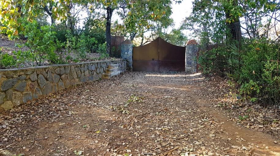 Finca La Liserilla 갈라로자 외부 사진