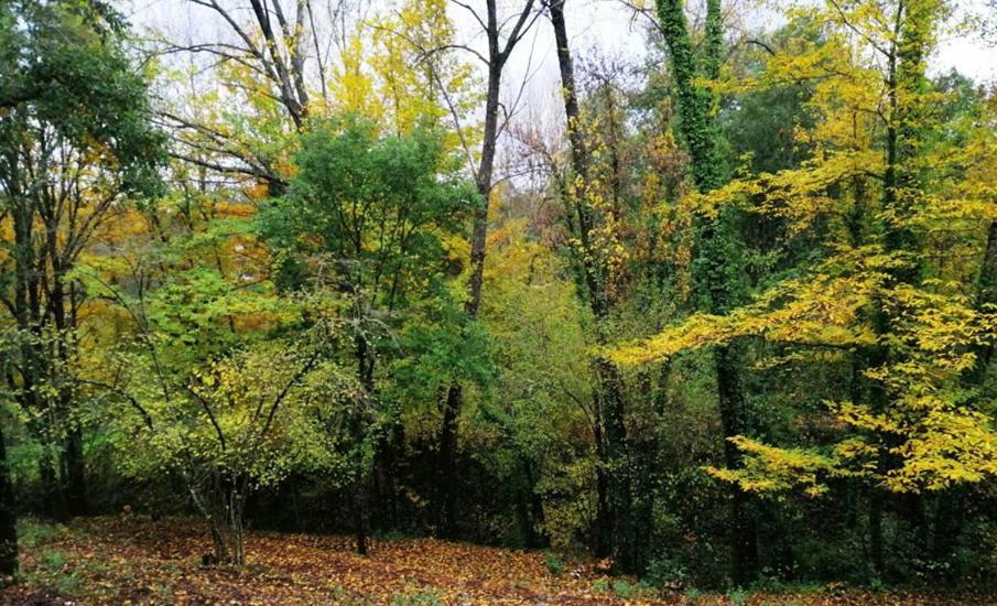 Finca La Liserilla 갈라로자 외부 사진